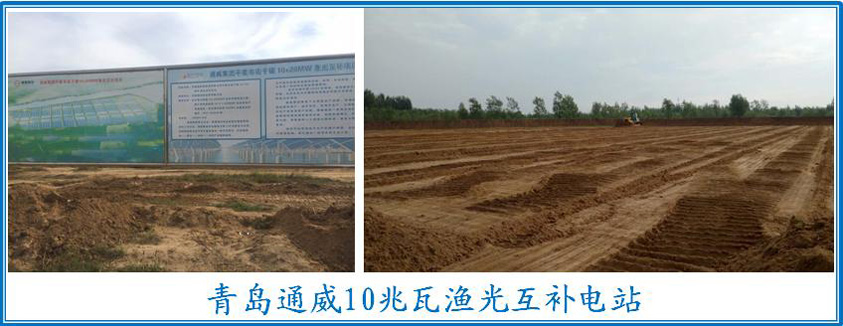 1475215407136392.jpg 14752055016169.jpg